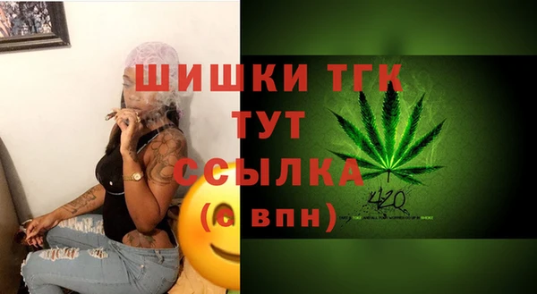 стаф Абинск