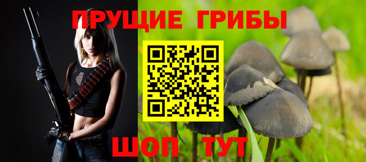 Галлюциногенные грибы MAGIC MUSHROOMS  Галлюциногенные грибы MAGIC MUSHROOMS  Вход с VPN  Алатырь 